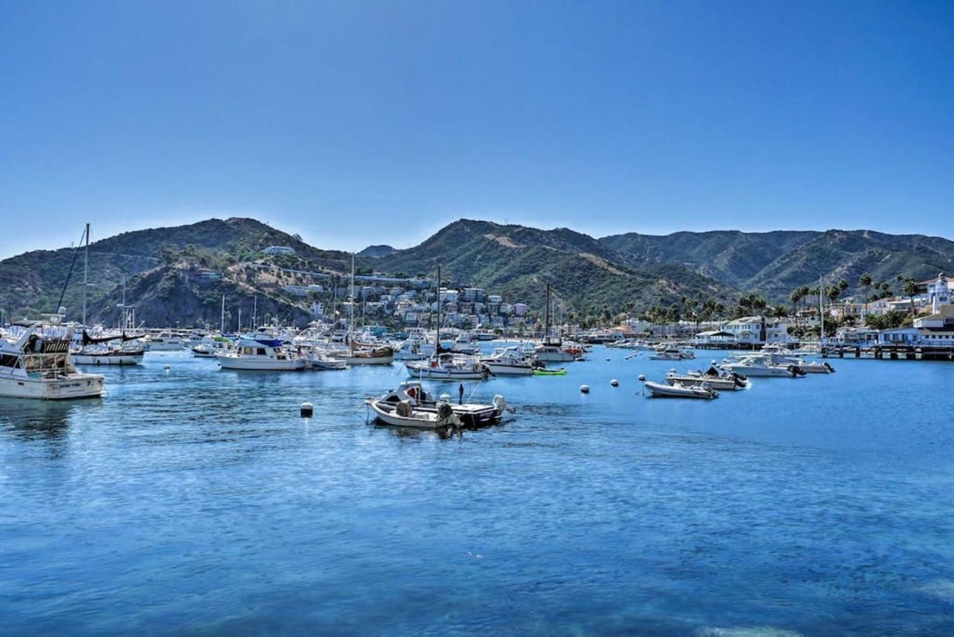 Gorgeous Oceanfront Villa With Panoramic Views Avalon Exterior photo